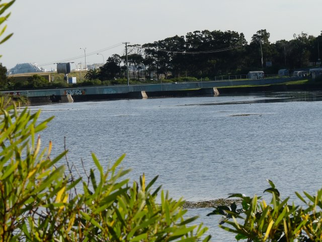 Old stormwater pipes at Botany Swamps swimming hole